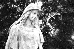 Frankfurt-main-cemetery-Lihi-Laszlo-2024-129