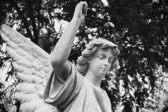 Frankfurt-main-cemetery-Lihi-Laszlo-2024-134