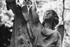 Frankfurt-main-cemetery-Lihi-Laszlo-2024-146