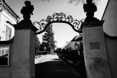 Bamberg-Cemetery-2024-Lihi-Laszlo_1