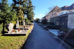 Bamberg-Cemetery-2024-Lihi-Laszlo_2
