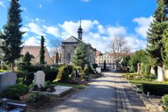 Bamberg-Cemetery-2024-Lihi-Laszlo_27