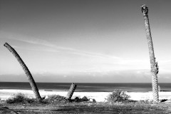 dado-beach-haifa-lihi-laszlo-2011-10