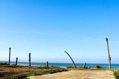 dado-beach-haifa-lihi-laszlo-2011-13