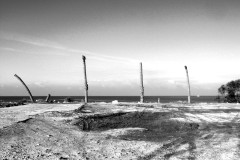 dado-beach-haifa-lihi-laszlo-2011-15