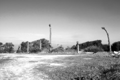 dado-beach-haifa-lihi-laszlo-2011-16