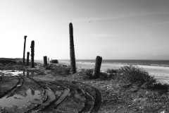 dado-beach-haifa-lihi-laszlo-2011-7