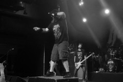 Hatebreed-Stuttgart-Germany-June-2023-Lihi-Laszlo_4