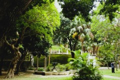 Hong-Kong-Happy-Valley-Jewish-Cemetery-Lihi-Laszlo-Sep-2018_20