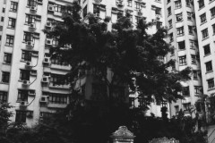 Hong-Kong-Happy-Valley-Jewish-Cemetery-Lihi-Laszlo-Sep-2018_4