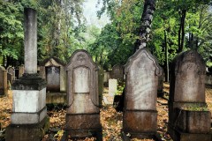 Jewish-cemetery-Bocklemund-Cologne-Lihi-Laszlo-Sep-2022_10