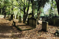 Jewish-cemetery-Bocklemund-Cologne-Lihi-Laszlo-Sep-2022_24