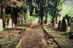 Jewish-cemetery-Bocklemund-Cologne-Lihi-Laszlo-Sep-2022_32