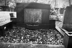 Jewish-cemetery-Bocklemund-Cologne-Lihi-Laszlo-Sep-2022_38