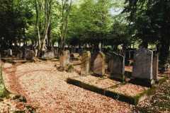 Jewish-cemetery-Bocklemund-Cologne-Lihi-Laszlo-Sep-2022_43