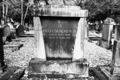 Jewish-cemetery-Bocklemund-Cologne-Lihi-Laszlo-Sep-2022_46