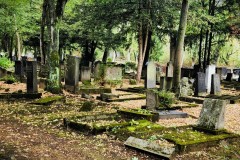 Jewish-cemetery-Bocklemund-Cologne-Lihi-Laszlo-Sep-2022_47