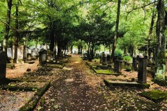 Jewish-cemetery-Bocklemund-Cologne-Lihi-Laszlo-Sep-2022_49