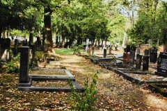 Jewish-cemetery-Bocklemund-Cologne-Lihi-Laszlo-Sep-2022_52