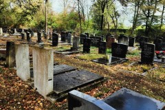 Jewish-cemetery-Bocklemund-Cologne-Lihi-Laszlo-Sep-2022_54