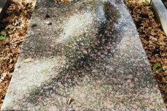 Jewish-cemetery-Bocklemund-Cologne-Lihi-Laszlo-Sep-2022_56