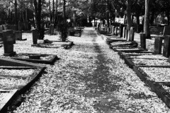 Jewish-cemetery-Bocklemund-Cologne-Lihi-Laszlo-Sep-2022_57