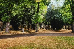 Jewish-cemetery-Bocklemund-Cologne-Lihi-Laszlo-Sep-2022_7