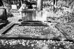 Jewish-cemetery-Bocklemund-Cologne-Lihi-Laszlo-Sep-2022_74