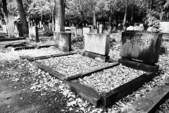 Jewish-cemetery-Bocklemund-Cologne-Lihi-Laszlo-Sep-2022_75