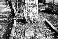 Jewish-cemetery-Bocklemund-Cologne-Lihi-Laszlo-Sep-2022_76