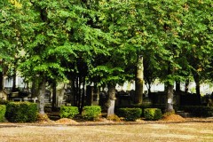 Jewish-cemetery-Bocklemund-Cologne-Lihi-Laszlo-Sep-2022_8