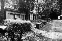 Jewish-cemetery-Bocklemund-Cologne-Lihi-Laszlo-Sep-2022_98