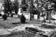 Jewish-cemetery-Bocklemund-Cologne-Lihi-Laszlo-Sep-2022_99