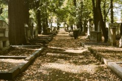 Jewish-cemetery-Bocklemund-Cologne_-Lihi-Laszlo-Sep-2022_11