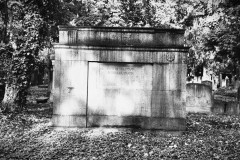 Jewish-cemetery-Bocklemund-Cologne_-Lihi-Laszlo-Sep-2022_2