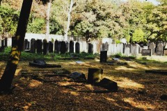 Jewish-cemetery-Bocklemund-Cologne_-Lihi-Laszlo-Sep-2022_25