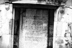 Jewish-cemetery-Bocklemund-Cologne_-Lihi-Laszlo-Sep-2022_4