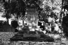 Jewish-cemetery-Bocklemund-Cologne_-Lihi-Laszlo-Sep-2022_8