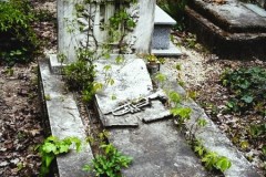 Kozma-Street-Cemetery-Hungary-Lihi-Laszlo-2014_52