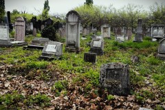 Kozma-Street-Cemetery-Hungary-Lihi-Laszlo-2014_82