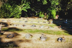 Melaten-Friedhof-Lihi-Laszlo-Sep-2022__24